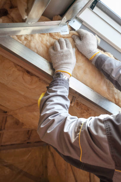 Best Insulation Removal  in Leander, TX