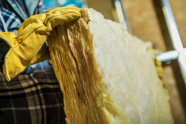 Best Insulation Inspection Services  in Leander, TX