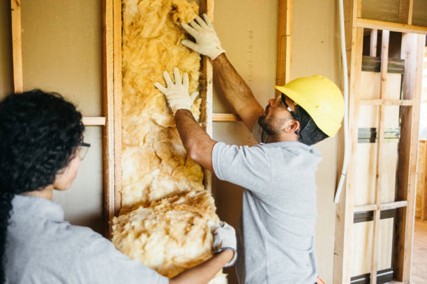Best Insulation Inspection Services  in Leander, TX